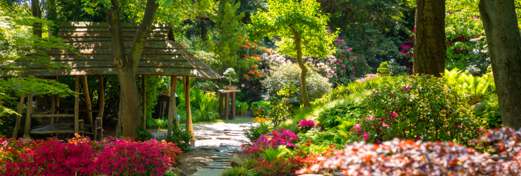 Jardim Sensorial